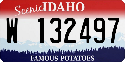 ID license plate W132497