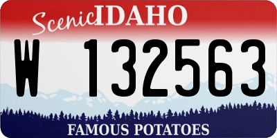 ID license plate W132563