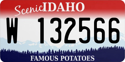 ID license plate W132566