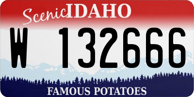 ID license plate W132666