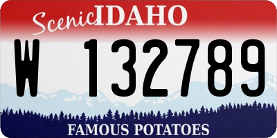 ID license plate W132789