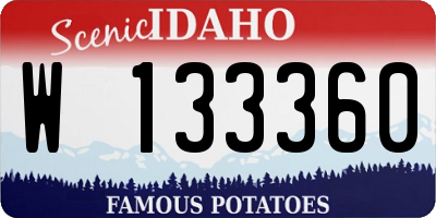 ID license plate W133360