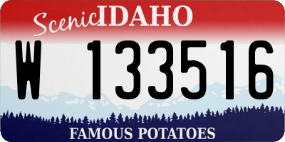 ID license plate W133516