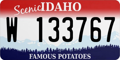 ID license plate W133767