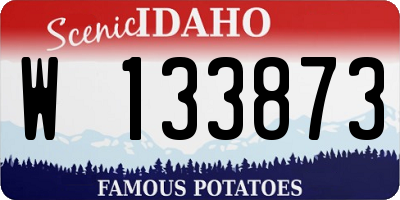 ID license plate W133873