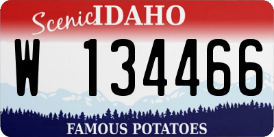 ID license plate W134466