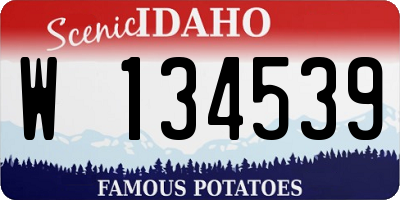 ID license plate W134539