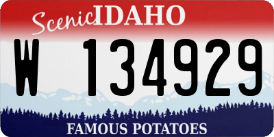 ID license plate W134929