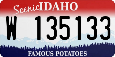 ID license plate W135133