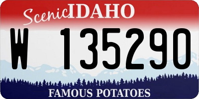 ID license plate W135290