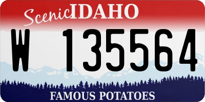 ID license plate W135564
