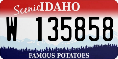 ID license plate W135858