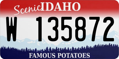 ID license plate W135872