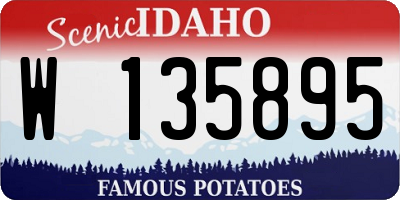 ID license plate W135895
