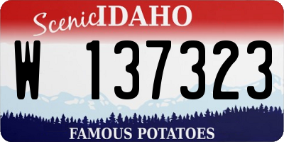 ID license plate W137323