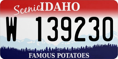 ID license plate W139230