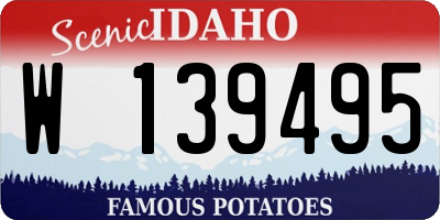 ID license plate W139495