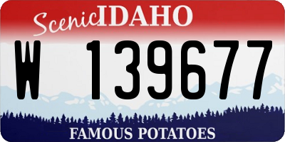 ID license plate W139677