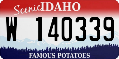 ID license plate W140339