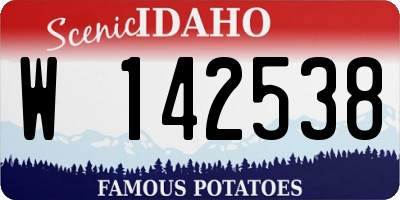 ID license plate W142538