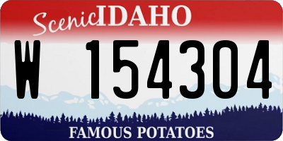 ID license plate W154304