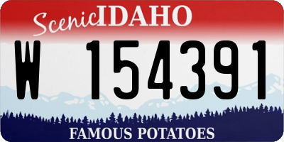 ID license plate W154391