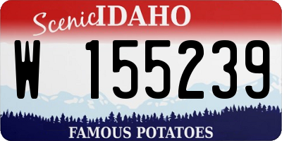 ID license plate W155239