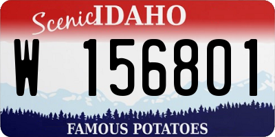 ID license plate W156801