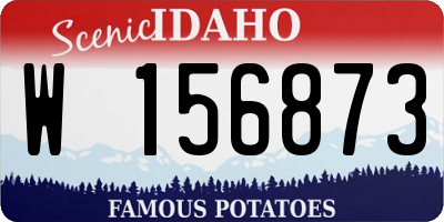 ID license plate W156873