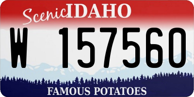 ID license plate W157560