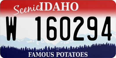ID license plate W160294