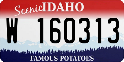 ID license plate W160313