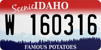 ID license plate W160316