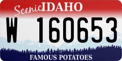 ID license plate W160653