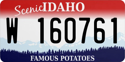 ID license plate W160761