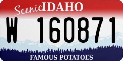 ID license plate W160871