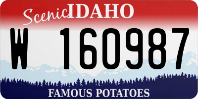 ID license plate W160987