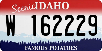 ID license plate W162229