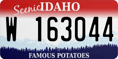 ID license plate W163044