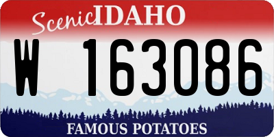 ID license plate W163086
