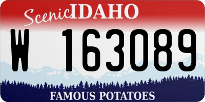 ID license plate W163089