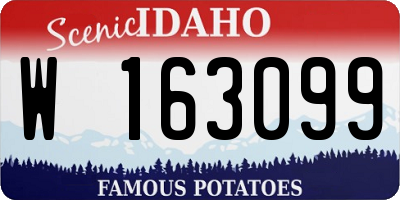 ID license plate W163099