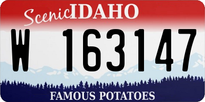 ID license plate W163147