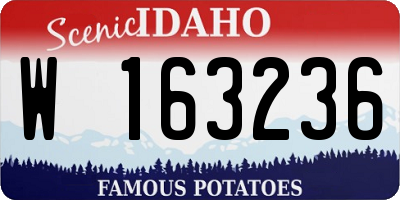 ID license plate W163236