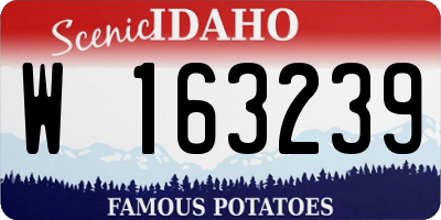 ID license plate W163239