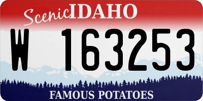 ID license plate W163253
