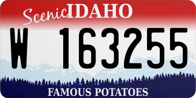 ID license plate W163255