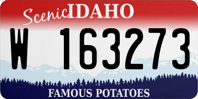 ID license plate W163273