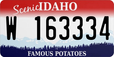 ID license plate W163334