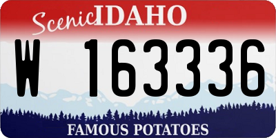 ID license plate W163336